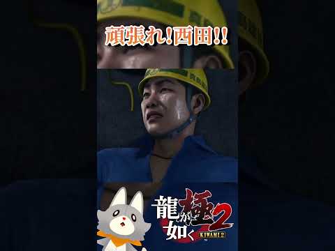 thumbnail_kdnPd2ZMsqM