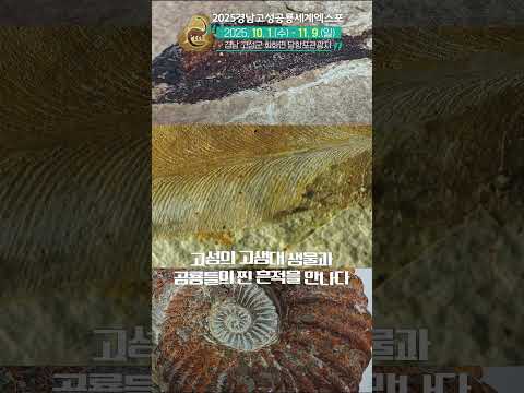 [확 달라진 2025 경남고성공룡세계엑스포] 진품공룡화석