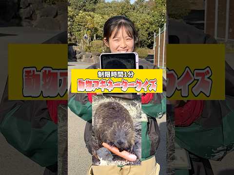 【動物アキネータークイズ】みんな優しくてヒント祭り！#アキネーター #飼育員　#shorts #動物園 #伊豆シャボテン動物公園 サムネイル