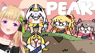 【 PEAK 】#ホロ1期生 の4人で山登りピクニックきた【アキロゼ/ホロライブ】
