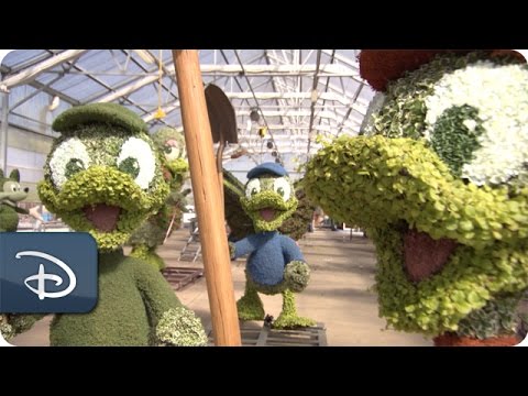 Behind the Scenes: Epcot International Flower & Garden Topiaries | Walt Disney World - UC1xwwLwm6WSMbUn_Tp597hQ