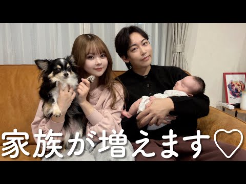 【ご報告】新しい家族が増えます