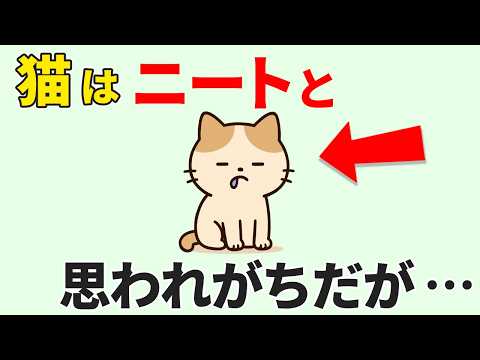 猫の働き方とは？見た目と違う猫の多彩な役割への理解と豆知識 サムネイル
