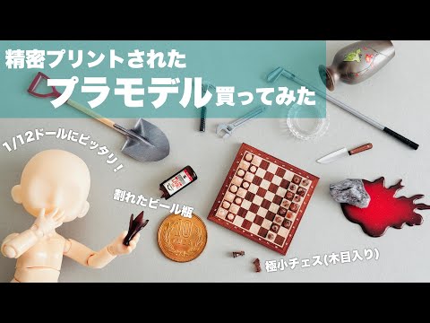 【レビュー】精密プリントされたプラモデル買ってみた【プリプラ】