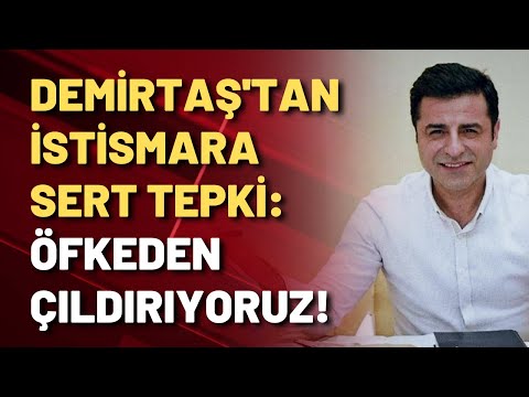 Demirtaş Halk TV'ye konuştu: İstismara sert tepki!