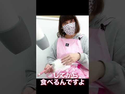 猫がお土産を持ってくる衝撃の事実 #みーちゃん先生 #お土産 #猫のプロ #shorts