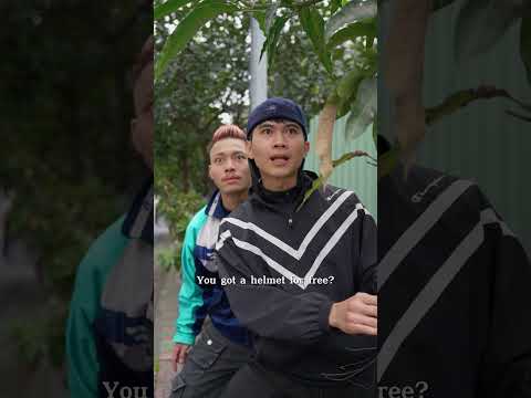 Mũ đâu | Oppa Huy