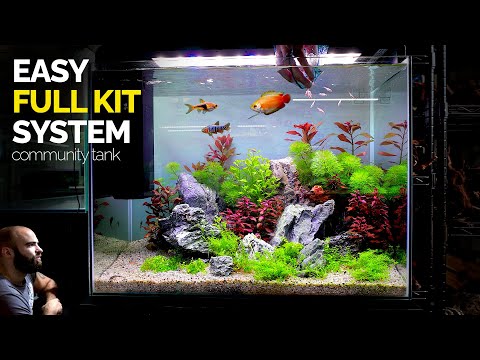 All In One Kit Aquarium_ Community Fish Tank Setup FIND YOUR LOCAL SUPERFISH SUPPLIER HERE_ https_//aquadistri.com/store-locator-2/

👇👇MD MERCH C