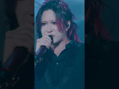 あらき「Freefall」-LIVE FILM-　#shorts