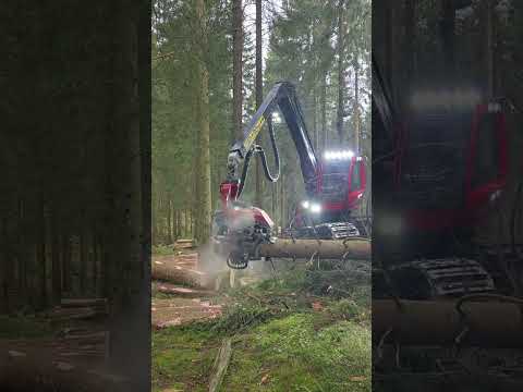 Tree Harvester Machine Cutting and Processing Logs with Precision 🌲⚙️ #ForestryMachine #LoggingTech