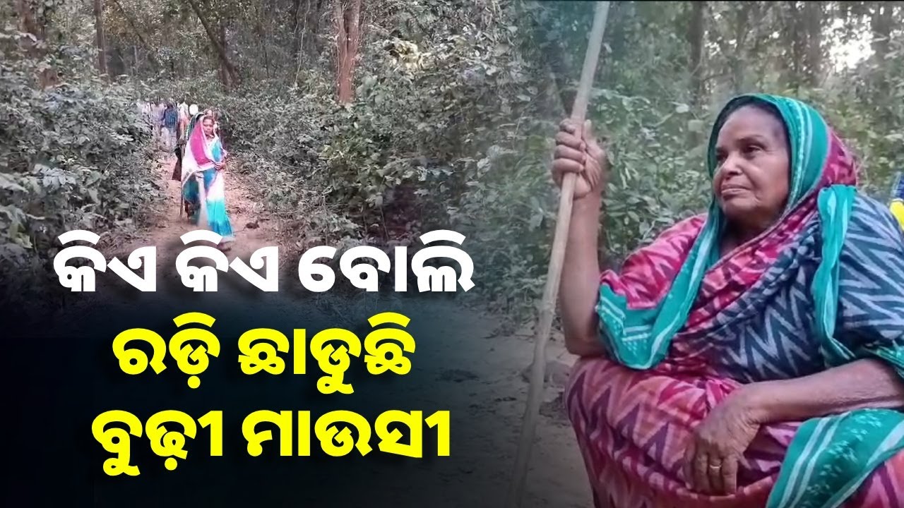 ଜଙ୍ଗଲ ଭିତରେ ଠେଙ୍ଗା ଧରି ଜଗିଛି ବୁଢ଼ୀ ମାଉସୀ, କିନ୍ତୁ କାହାକୁ? || Knews Odisha