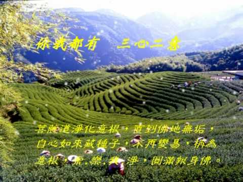 三心二意.月娥演唱.wmv