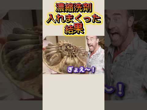 高濃度洗剤を入れまくった結果！！ #おそうじダイアリー #洗濯機掃除