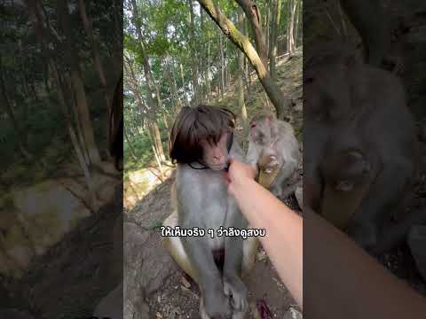 คอนเทนต์อันตรายไม่รู้ตัว #สัตว์โลกน่ารัก