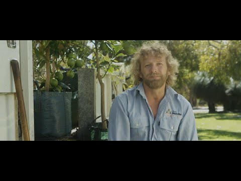 City of Melville - Choosing Tree Stock For Your Garden