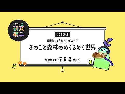 #015-2.  菌類の捉える世界を探る「⚪︎×実験」、森林と枯れ木の分解、川渡フィールドセンターのあたたかいネットワーク ー菌類には「知性」がある？ 〜きのこと森林のめくるめく世界〜2