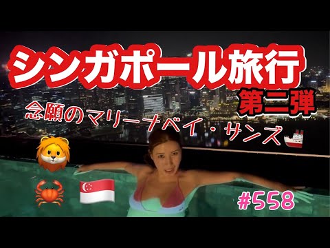 シンガポールといえばのマリーナベイ・サンズに泊まったんだけどホテルのプールがチャラすぎてにゃんぴょんチームで大はしゃぎ