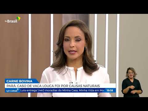 Caso de vaca louca em Marabá, no Pará, é considerado atípico