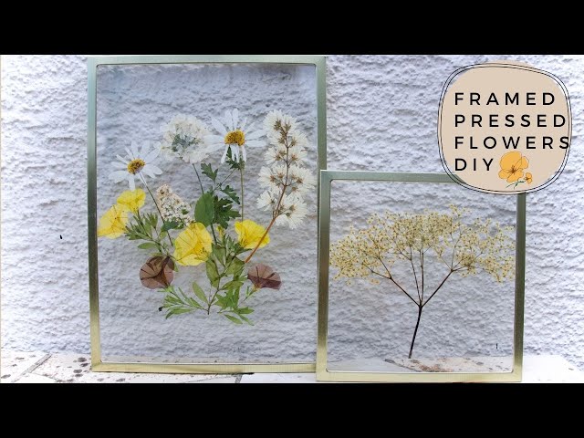 How to Preserve Flowers in a Frame