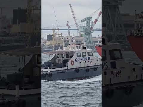 Mipo's daily life - 103