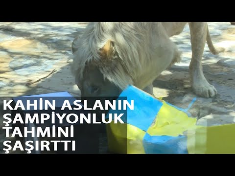 Kâhin Beyaz Aslan Pamuk Şampiyonluk Tahmini Yaptı