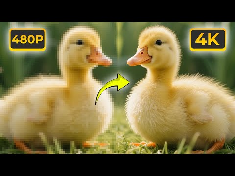 MUDAH BANGET! Cara Mengubah Video Burik Menjadi 4K GRATIS 2025