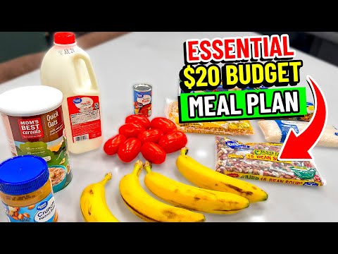 😱 $20 Buys a Week of Meals:  The Essential Budget Meal Plan