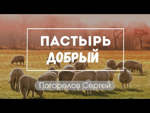 Погорелов Сергей "Пастырь добрый"