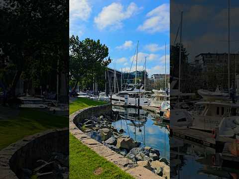 Kayak rentals #canada #britishcolumbia #vancouver