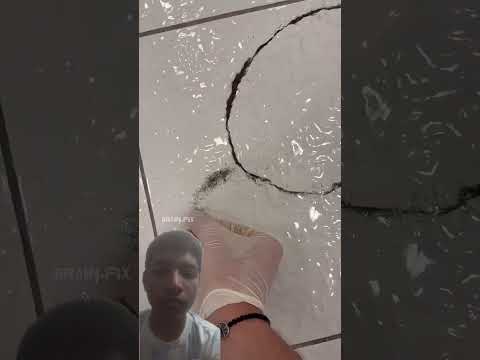 #funny #amazingfacts #facts #automobile #amazing #bangla #bengalifacts #entertainment #comedy