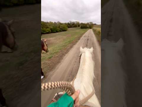 I got to go back to Kansas with @CollectHorsemanship to stay for a week! 💞 Having a great time 🤩