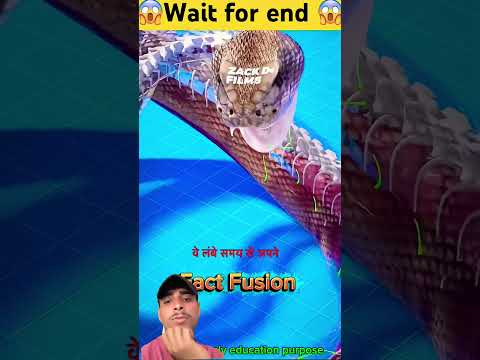 अगर सांप खुद को काटले तो क्या होगा #facts #snake #factsinhindi #animals