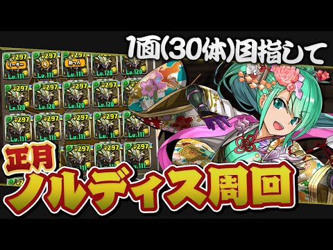 続・正月ノルディス周回【パズドラ】