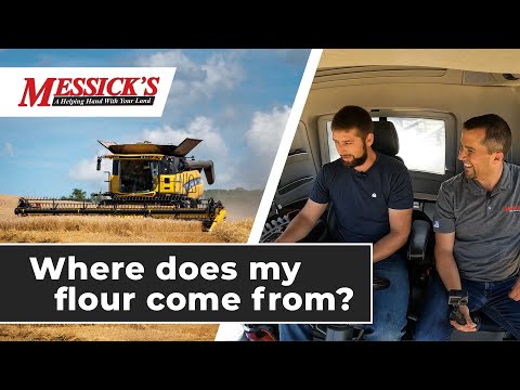 Where does my flour come from? | New Holland CR8.90 Combine Ride Along w/ Burkholder Family Farms Picture