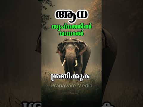 ആന നിങ്ങളുടെ സ്വപ്നത്തിൽ വന്നാൽ ഇത് ശ്രദ്ധിക്കണം #pranavammedia #elephant #astrology