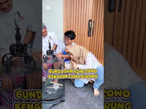 BUNDA DAN ADIK COWO KENALAN SAMA BURUNG 🥳😍 #dienafitri #leika #funny
