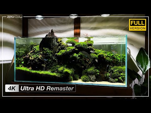 120cm水槽【苔むした森】 立ち上げから完成まで - 4K Ultra HD Remaster Edition -　/アクアリウム/aquarium/120cm/vlog/