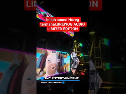 BREWOG LIMITED EDITION #karnaval #karnavalparty #brewogaudio #gudanghiburan #sound