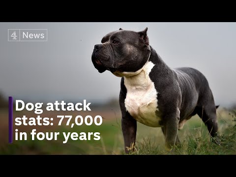 Over 77,000 dog attacks recorded by police since 2019, exclusive data reveals