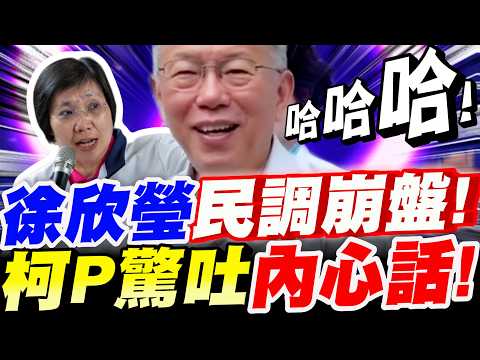 【全字幕】幕僚都冒冷汗了！徐欣瑩民調大崩盤！柯文哲驚吐內心話！中秋節 #柯P