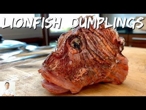 Fresh Lionfish Dumplings | Clean, Pan Seared and Steamed | FAST FRIDAYS - UCbULqc7U1mCHiVSCIkwEpxw