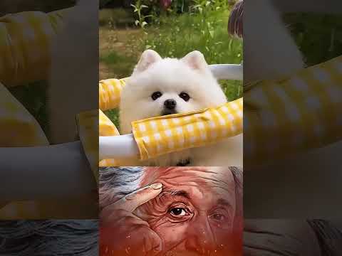 Increíble 🫢 #sabiasque #funk #shorts