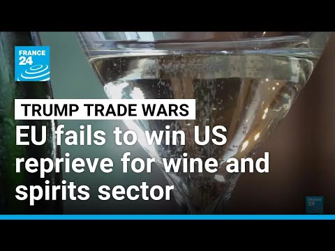 EU gets 15% US tariff for cars, but fails to get wine reprieve • FRANCE 24 English