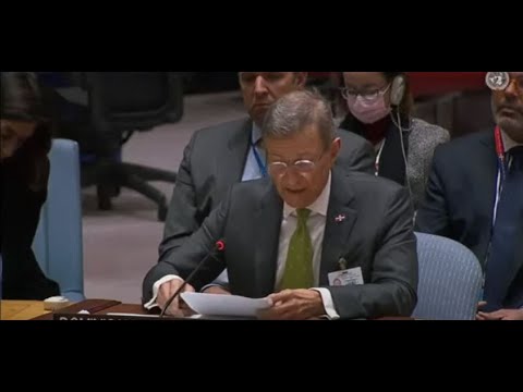 EN VIVO Canciller habla en Consejo de Seguridad de la ONU sobre Haití