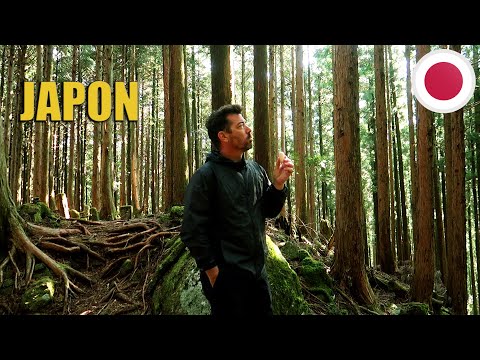 GROS KIFF DANS LA FORÊT JAPONAISE ! ???????? (KUMANO KODO) #60