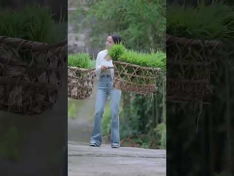 如果你不小心刷到我，请留下来翻翻我的作品吧，也许能治愈你烦躁的心情！#记录真实生活 #山里姑娘 #农村生活