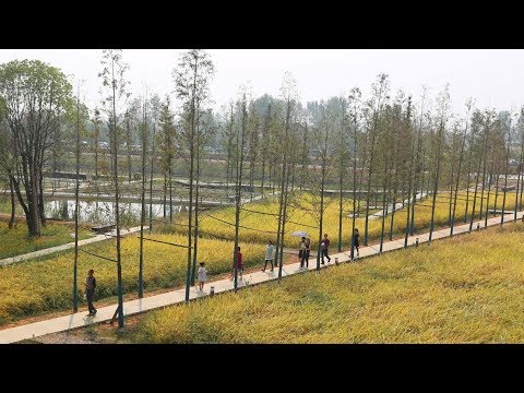 World Landscape of the Year 2017 teaches people about China's farming history, says Turenscape