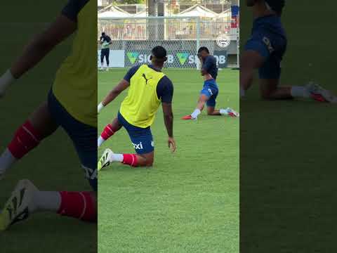 image para ilustrar o artigo