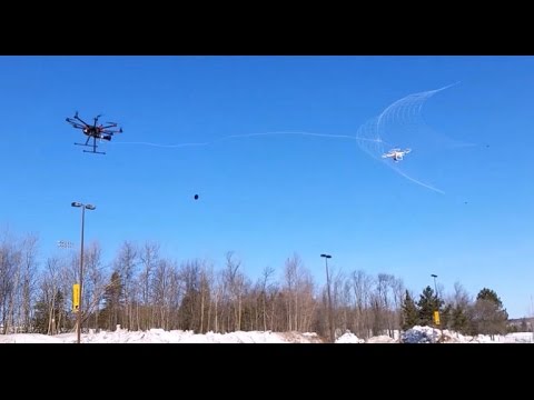 Tomorrow Daily - 'Robotic falconry' aircraft shoots capture net at rogue drones, ep. 297 - UCOmcA3f_RrH6b9NmcNa4tdg