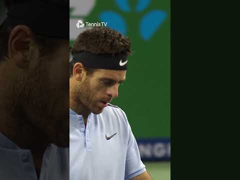 Crazy Del Potro vs Federer Rally 🤩